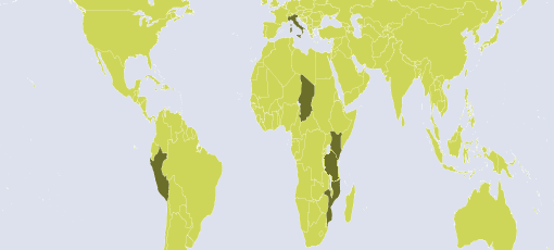 dove il cesvitem opera nel mondo