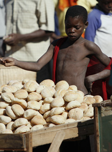 Sulle soglie di una nuova crisi alimentare mondiale