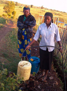 Mutitu Water Project, piccole gocce di solidariet