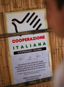 Dov' finita la cooperazione italiana?