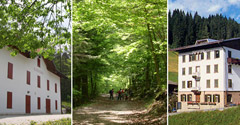Case per ferie solidali