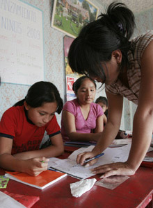 Proyecto Pininos: informe 2009