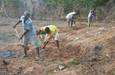 progetto-oficinas-06-preparazione-del-terreno.jpg