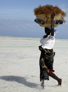 Nobel per la Pace 2010 alle donne africane