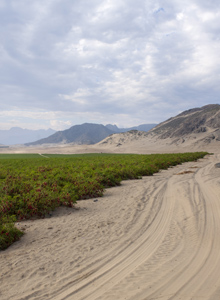 La storia del mese: il miracolo del deserto