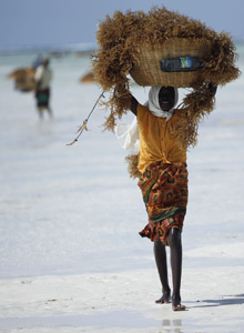 Le donne africane candidate al Nobel per la Pace 2011