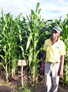 Una macchia verde speranza nel cuore del Mozambico