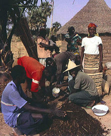 Centro fromazione agricola Gouyou