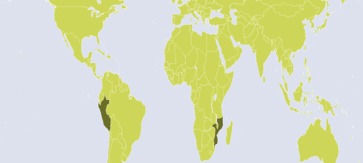 Sostegno a distanza - mappa dei progetti